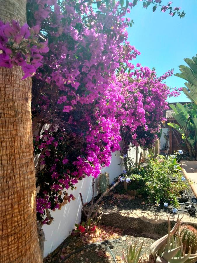 Villa Rosa Meravigliosa Con Piscina Interna Corralejo Exterior foto